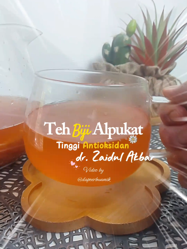 @dapoerbunmik