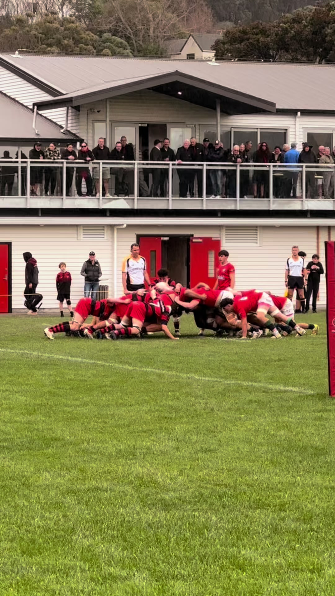 @msprugby