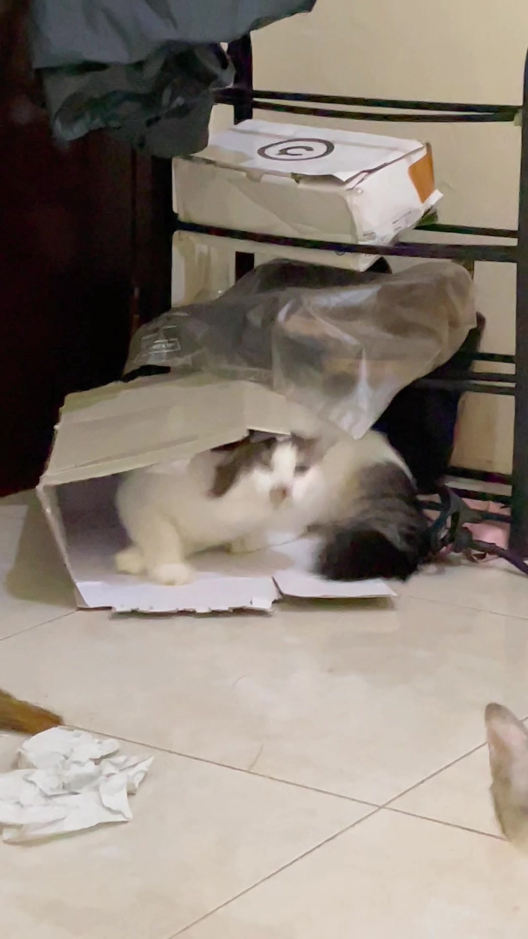 @three_muscateers