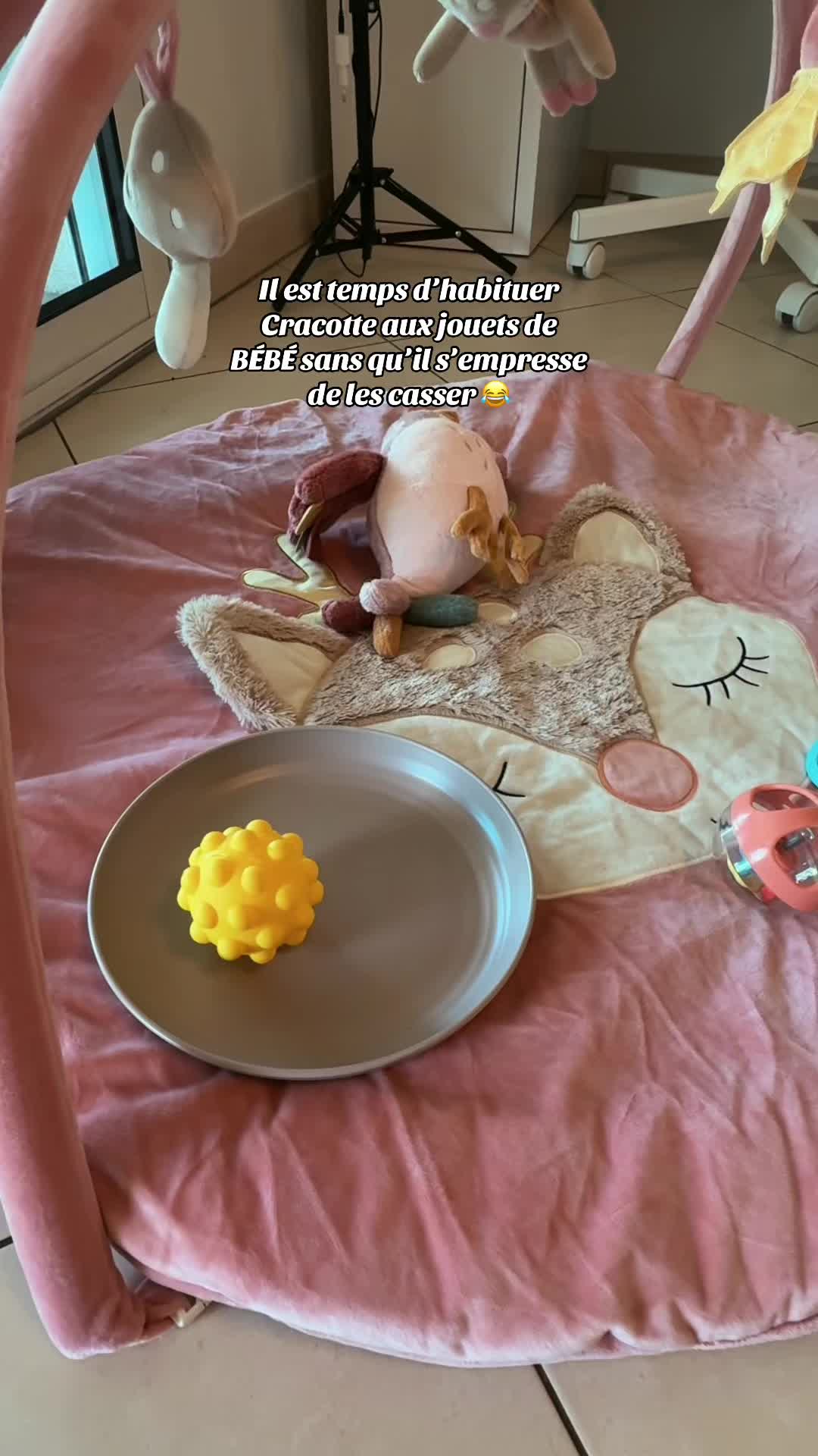 @๐ด๐๐๐ ๐ซ๐๐๐๐๐๐