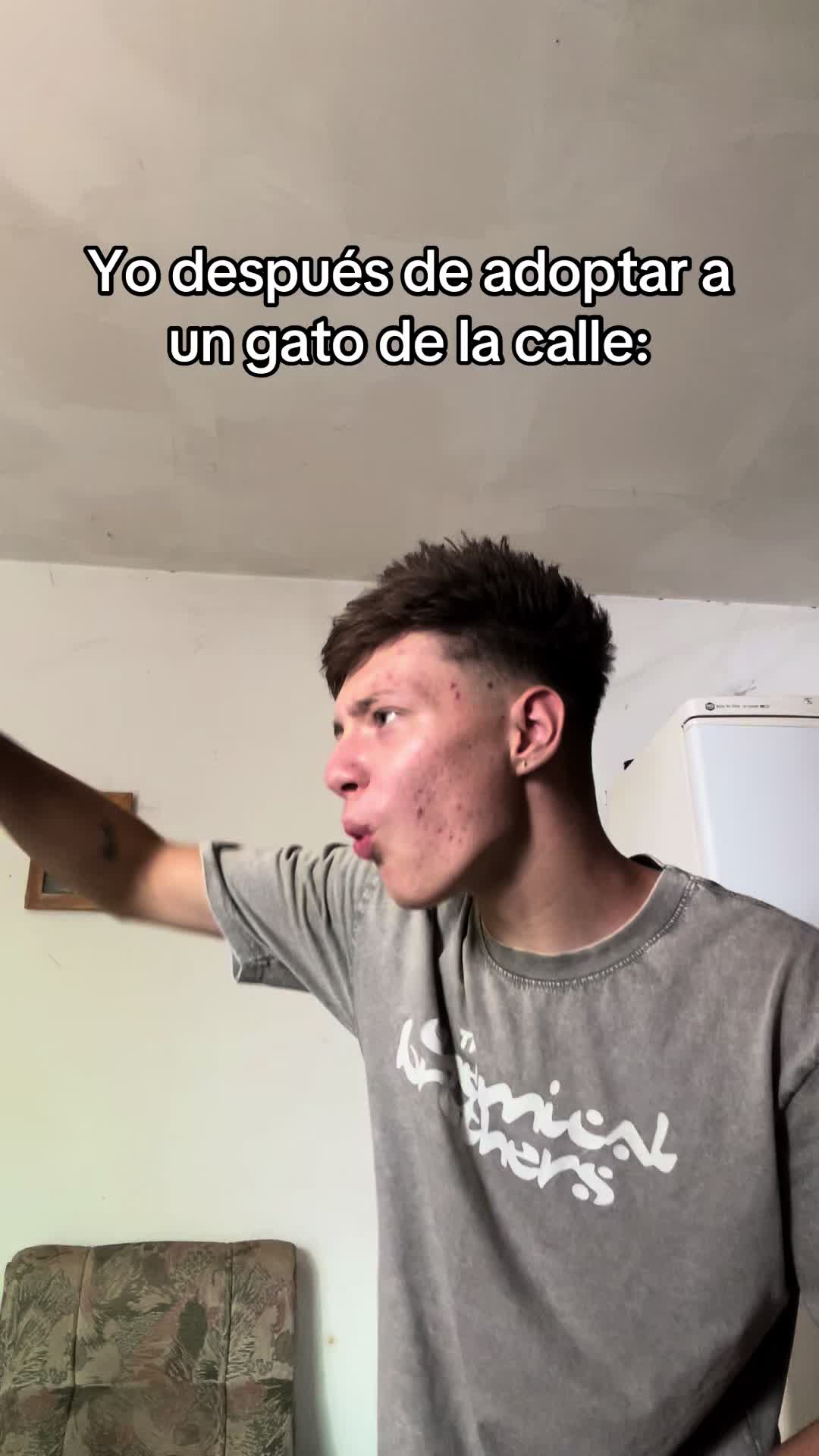 @el raulillo