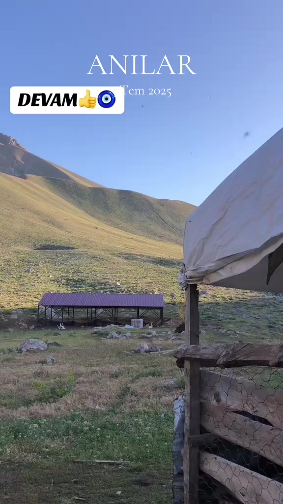 @ALİ AKKAŞ