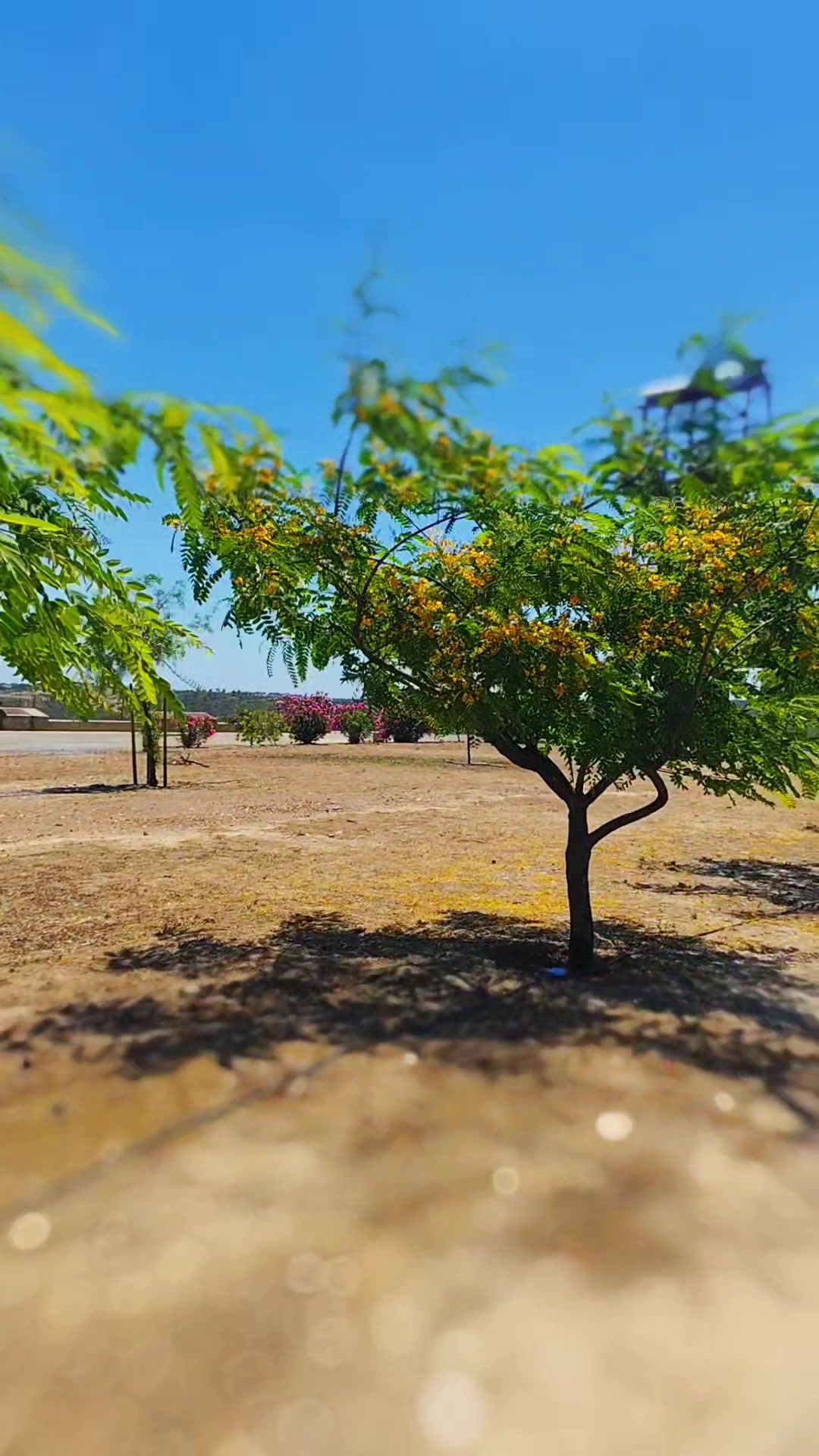 @Parque Mineiro de Aljustrel