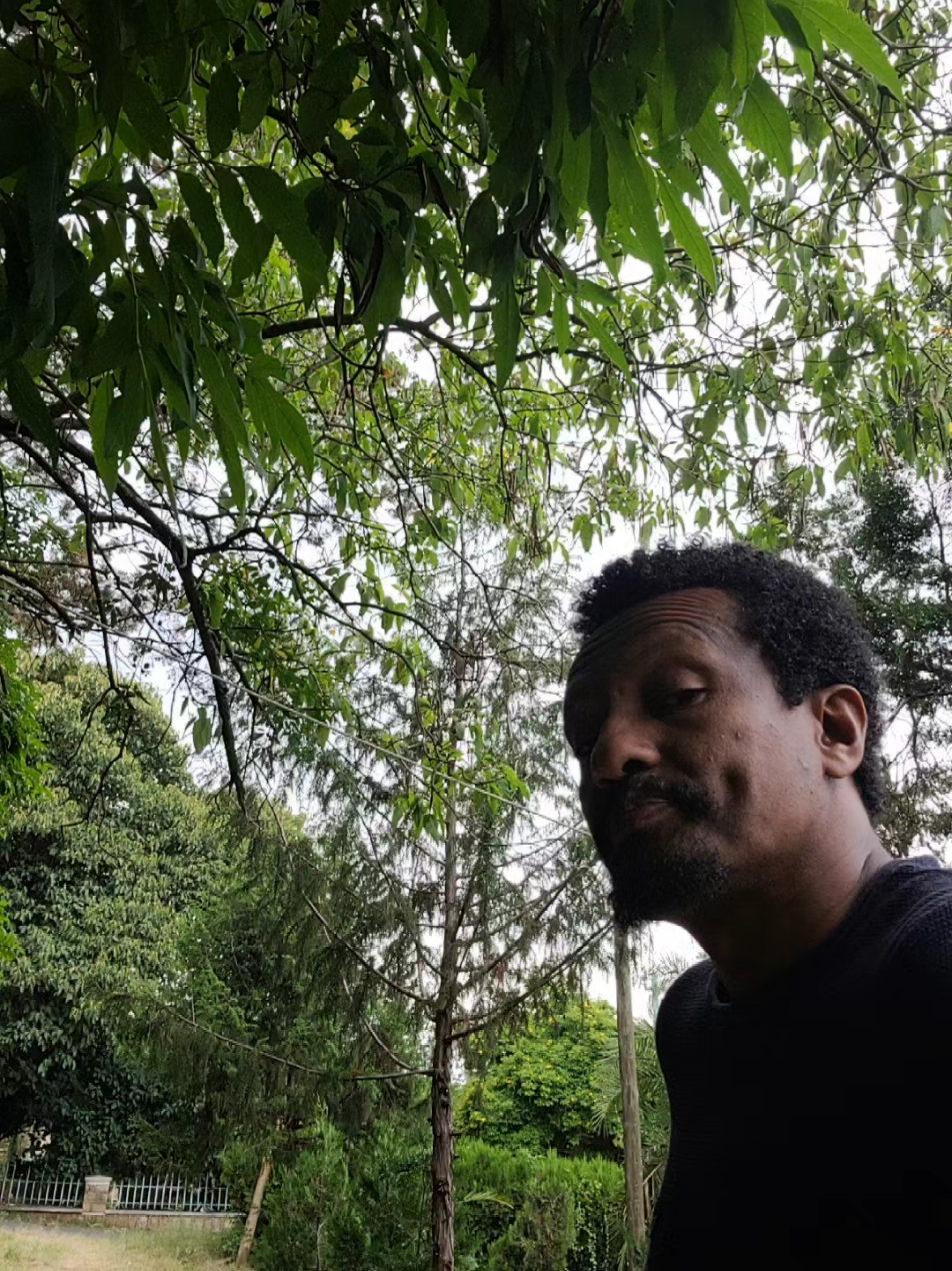 @Muna Tilahun 艾柏