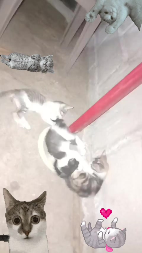@Leidy1998