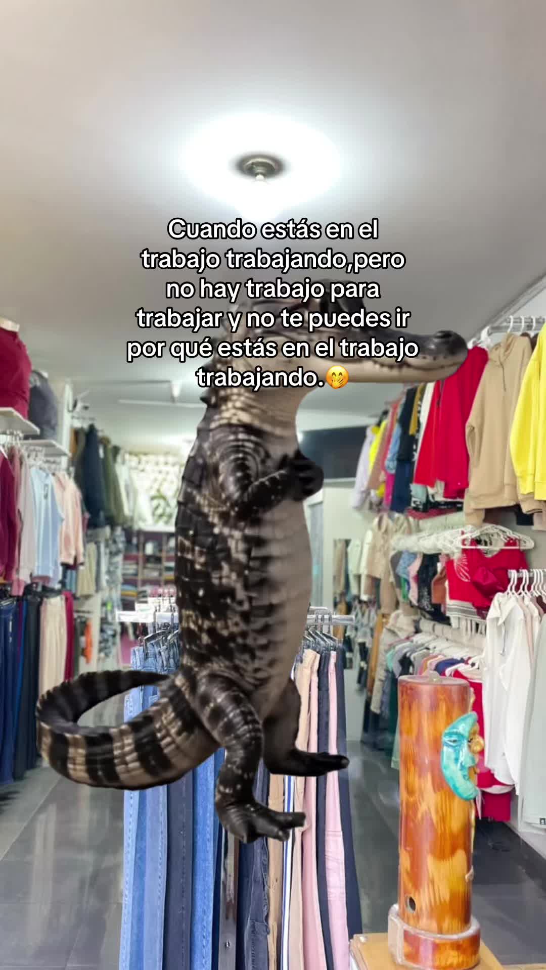 @El Toke_Shop