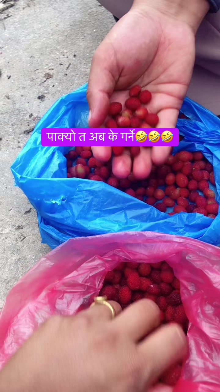 @Sabita Bhandari