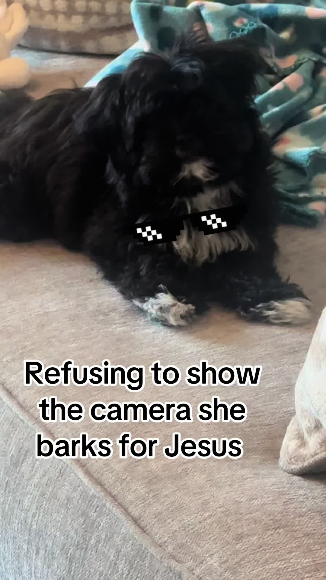 @Minnie_Twist
