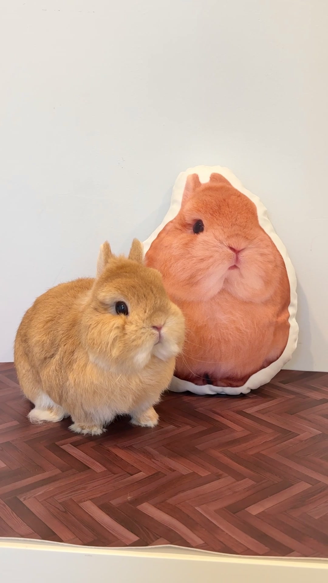 @Eggie