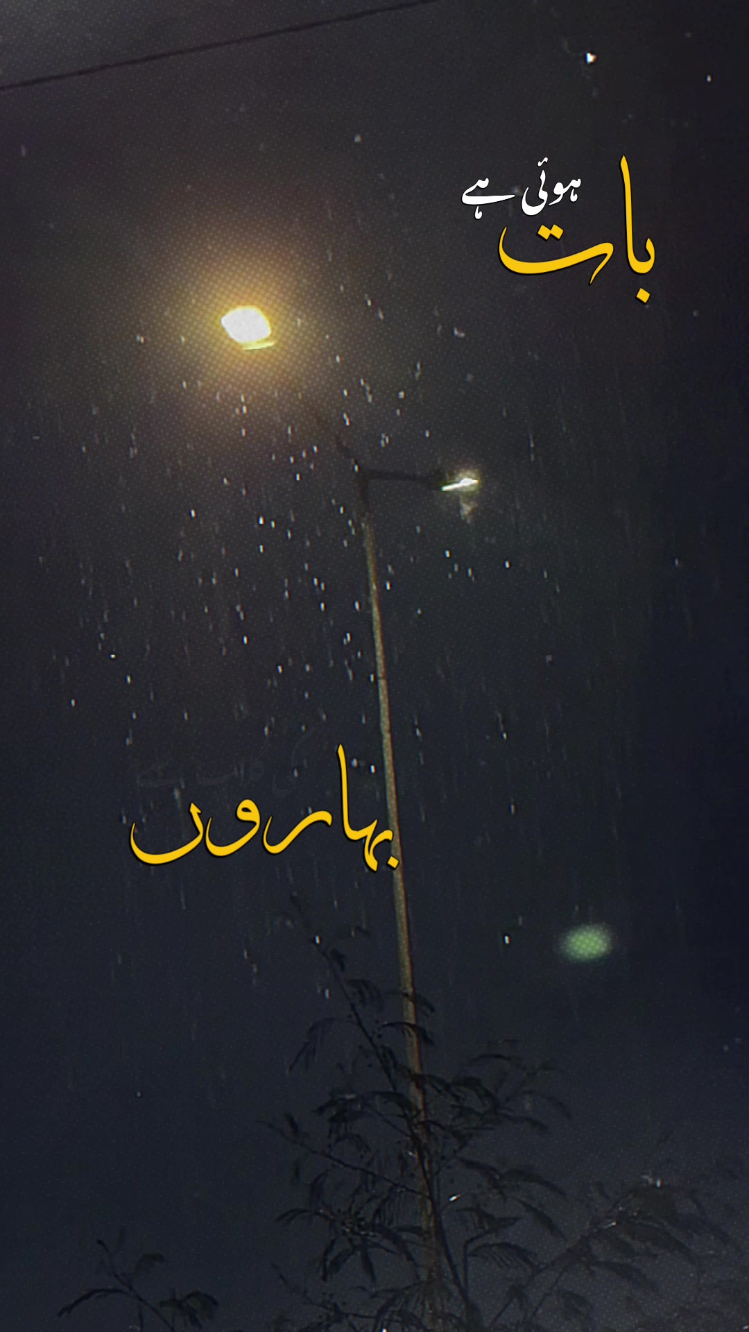 @Sheikh Ali Vlogs