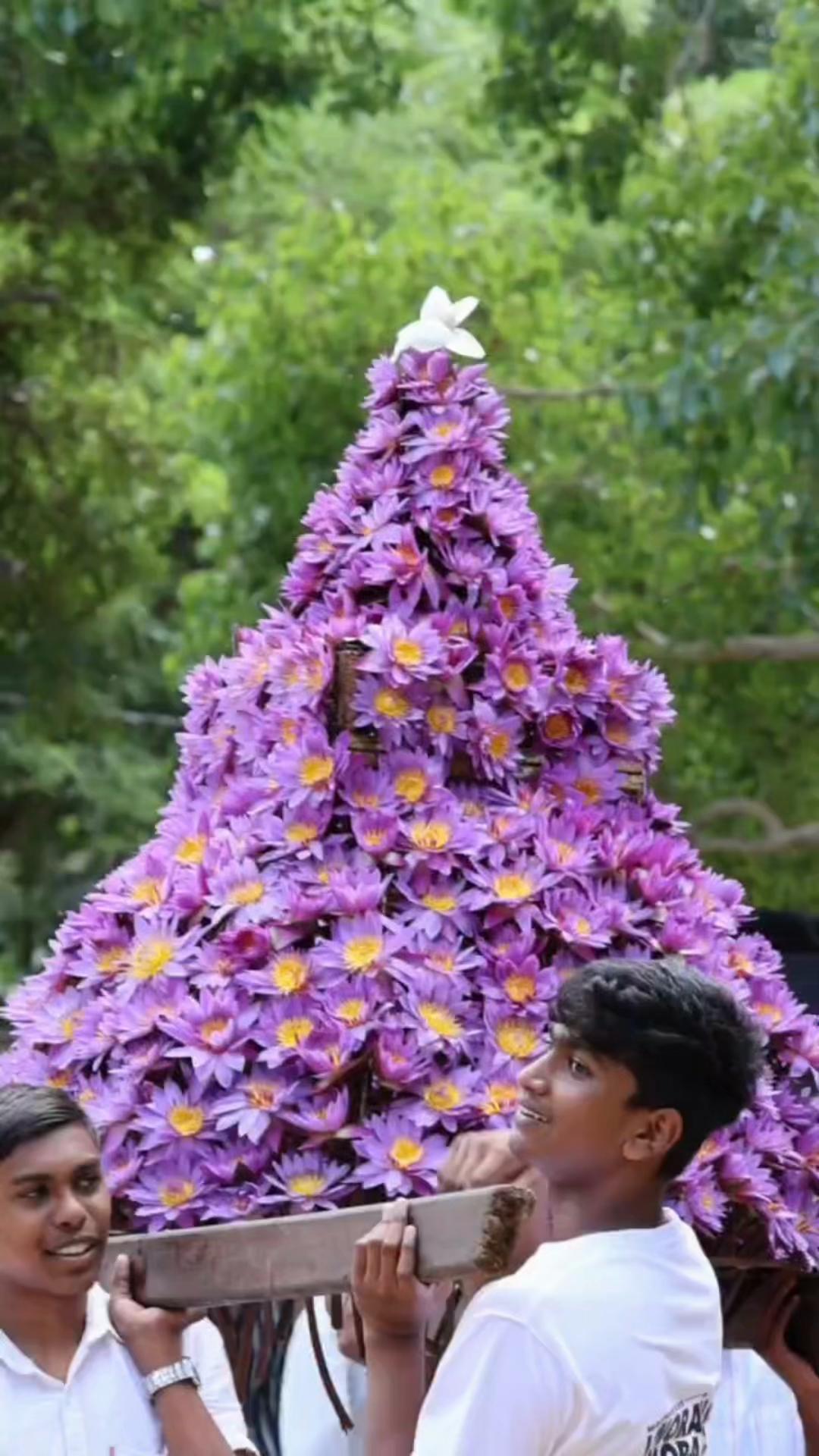 @Maduranga Sandaruwan