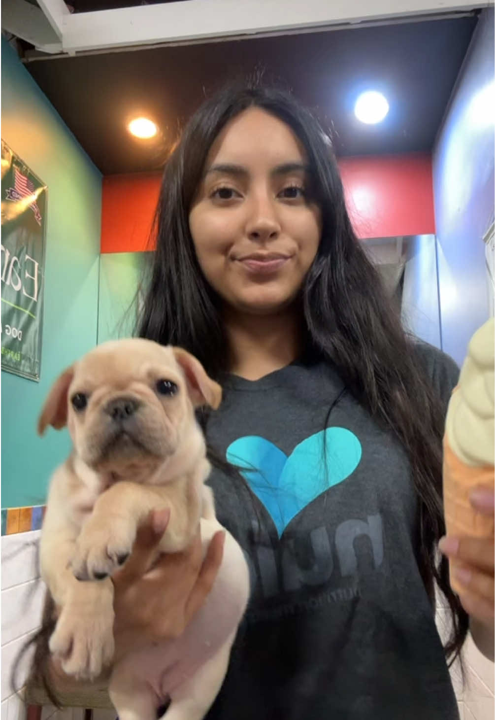 @All Pets Club