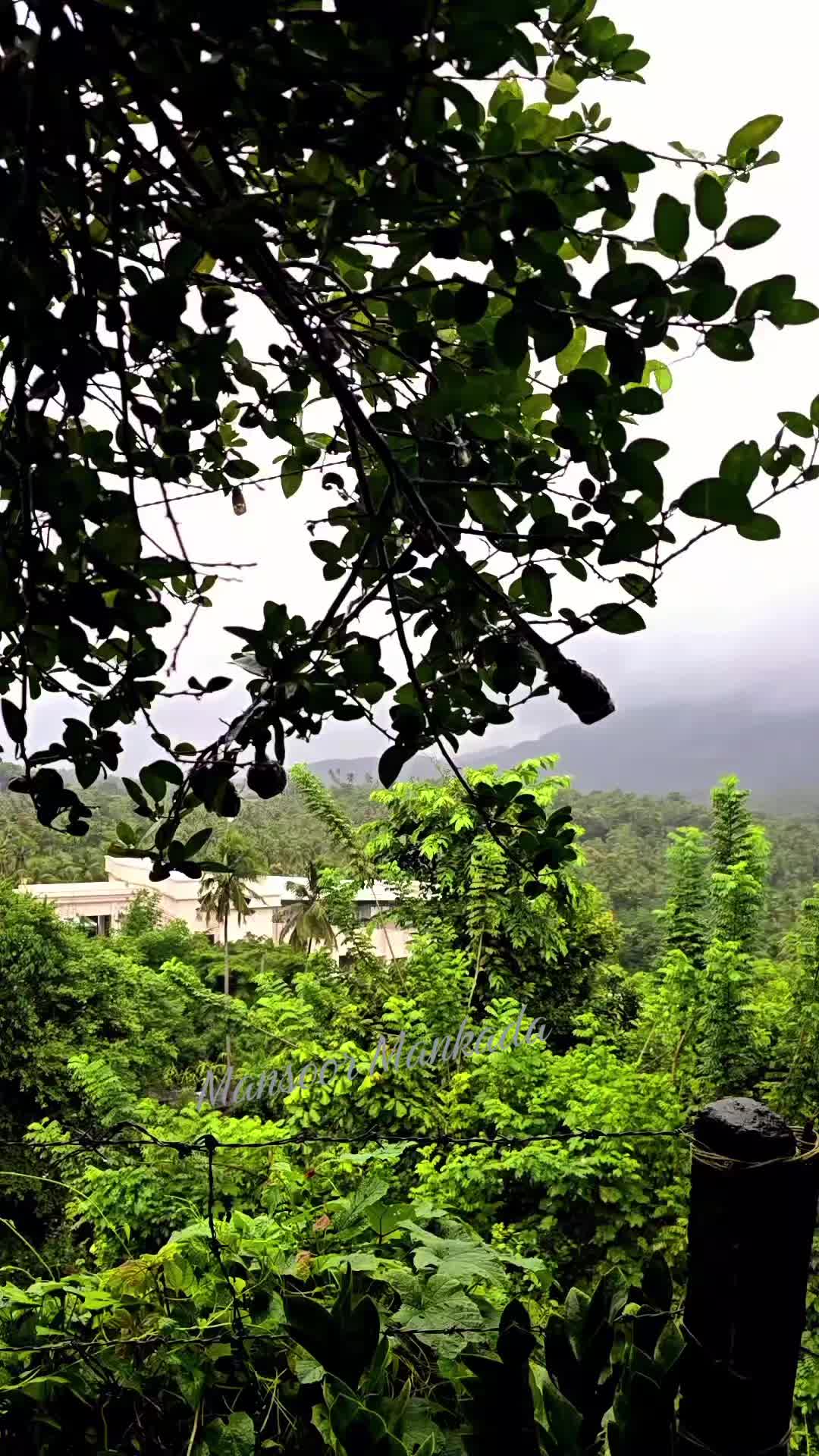@Mansoor Mankada
