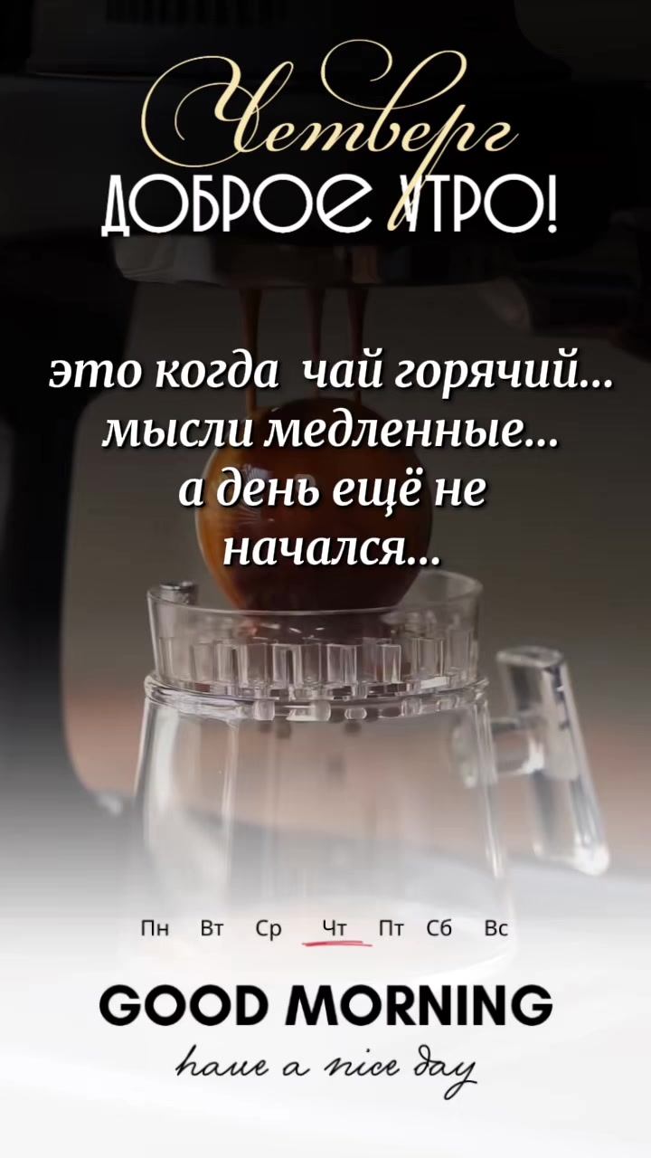 @☆꧁✬◦.𝒱.𝒮𝒽 .✬꧂☆