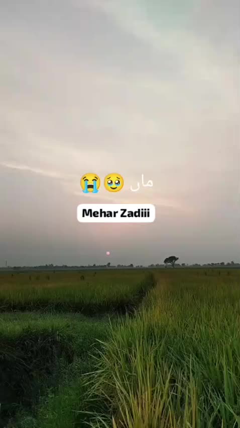 @Mehar Zadi 🖇️🤞🏻