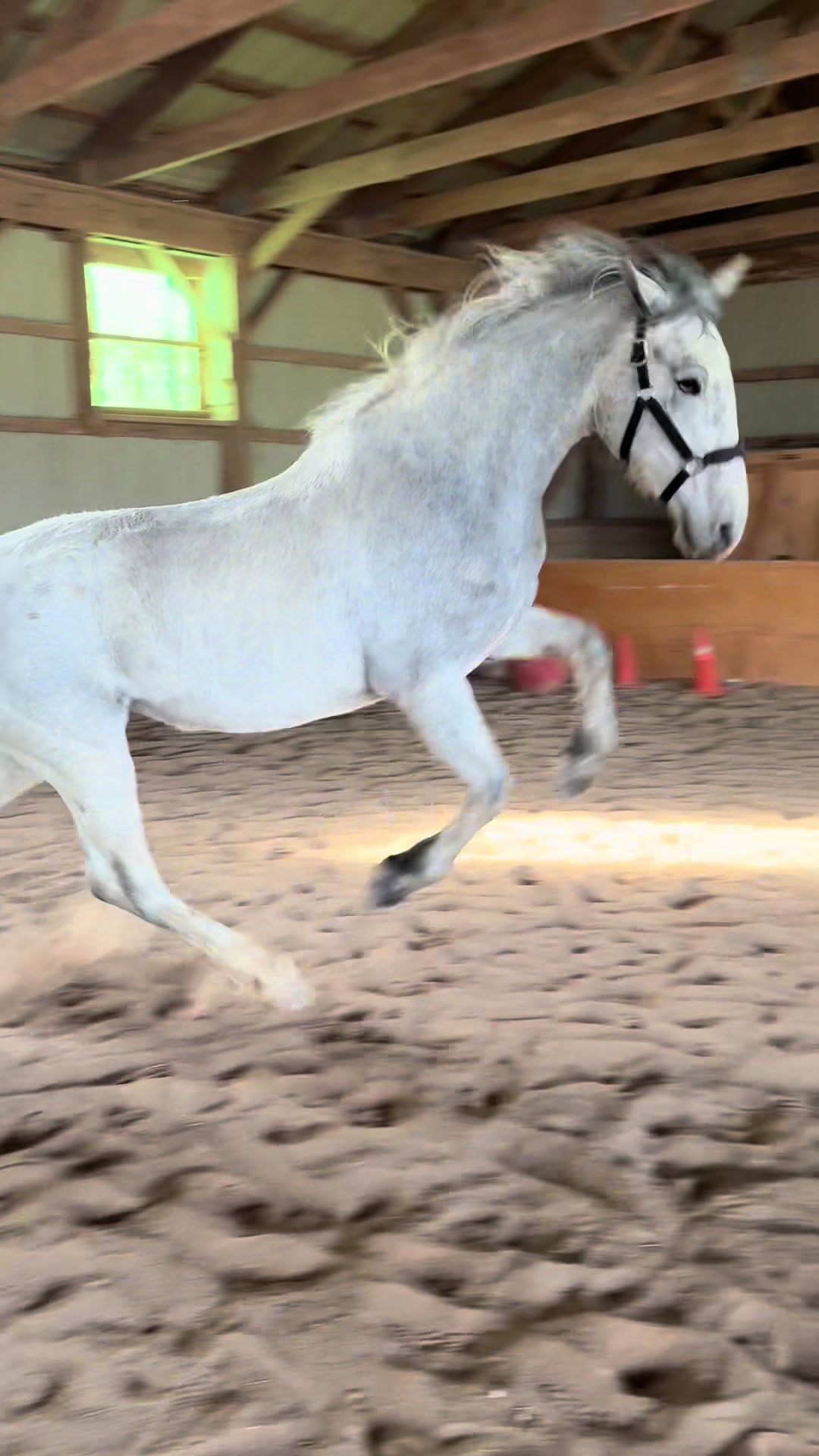 @Karin - Empower Equine app