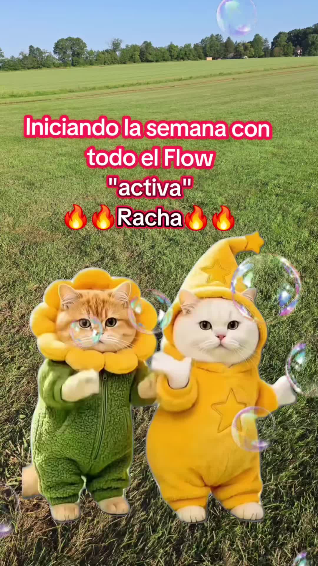 @&diams;️🔟&diams;️Chaparrita🥛🤍