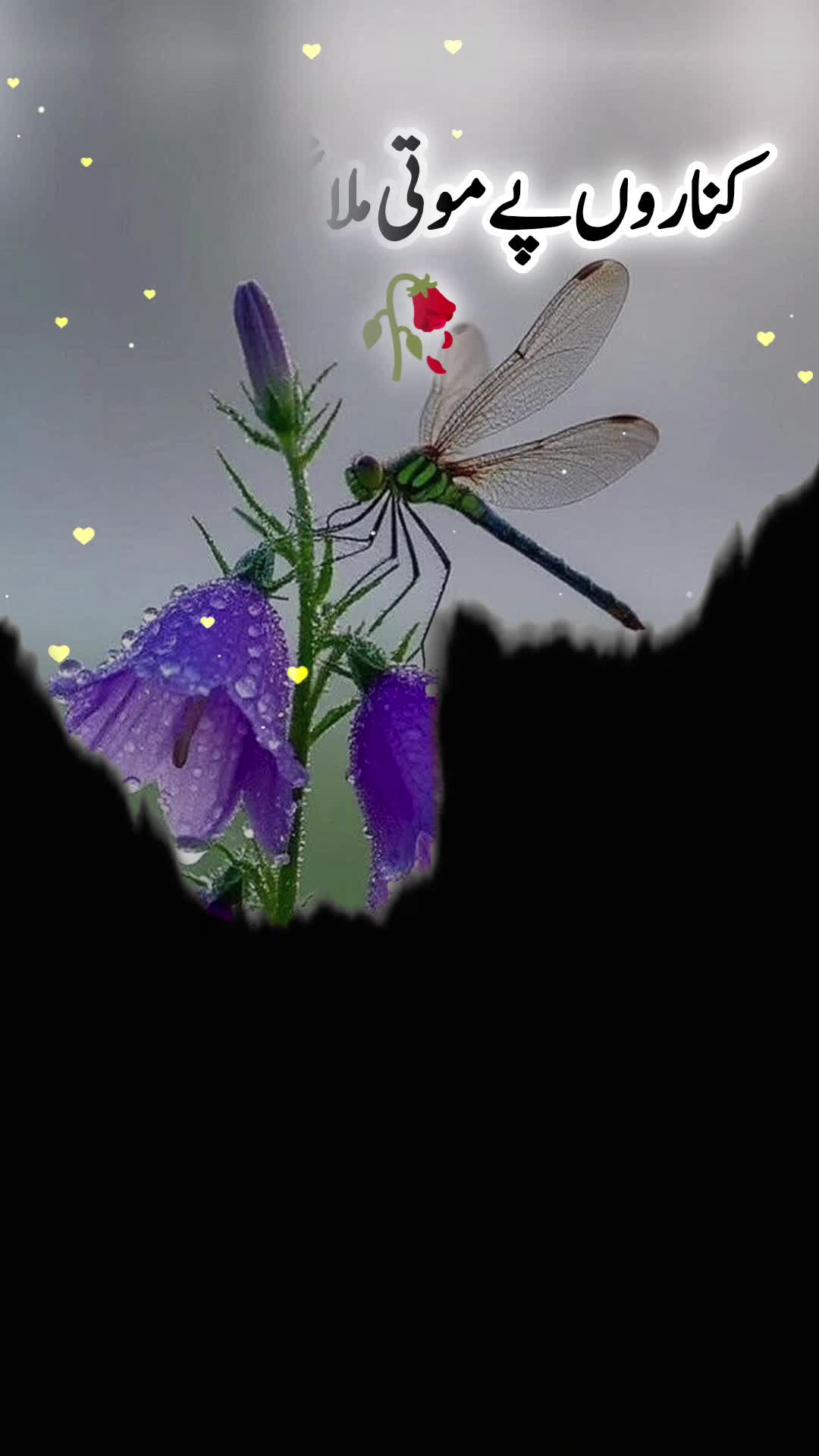 @❤️سزائے عشق😭