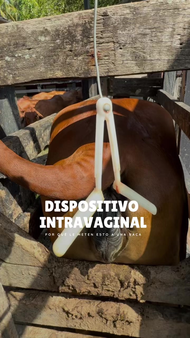 @Rehagronegocios