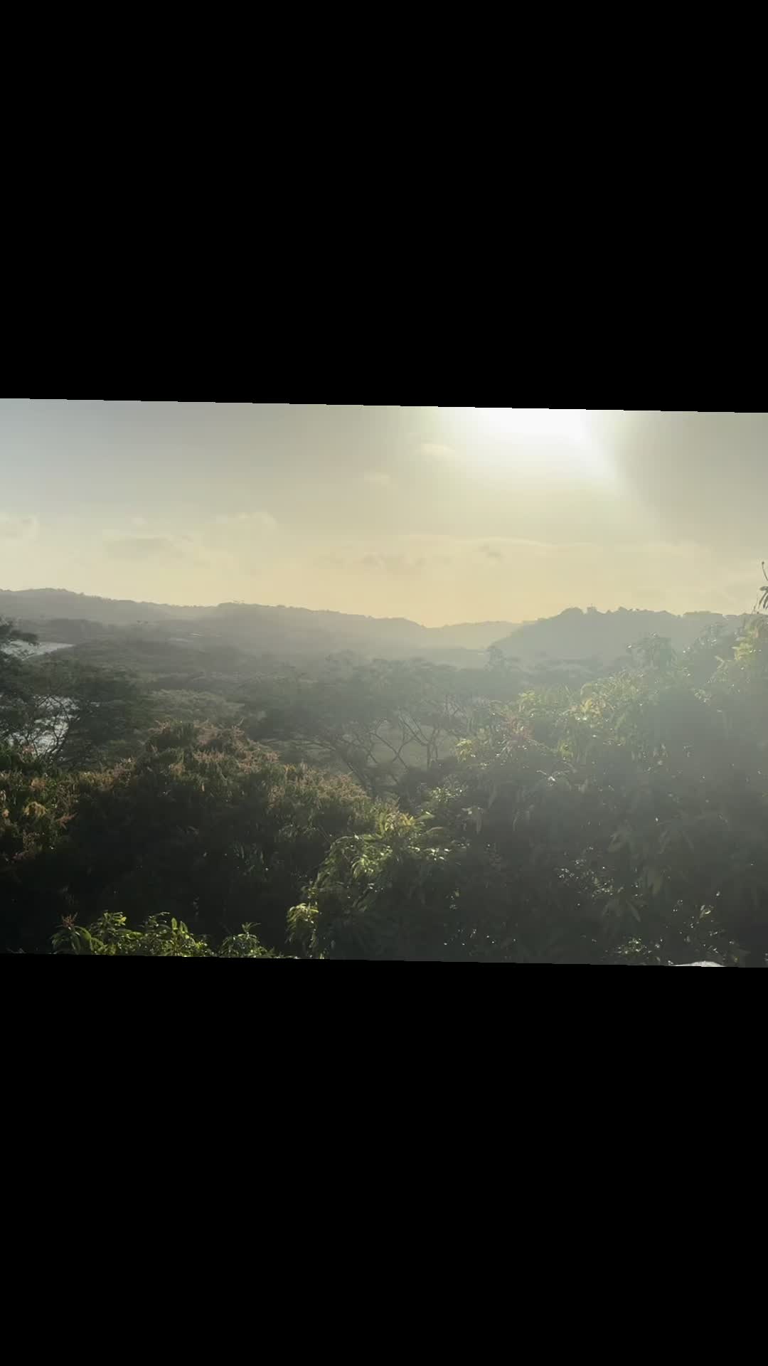 @Miles 🇬🇩