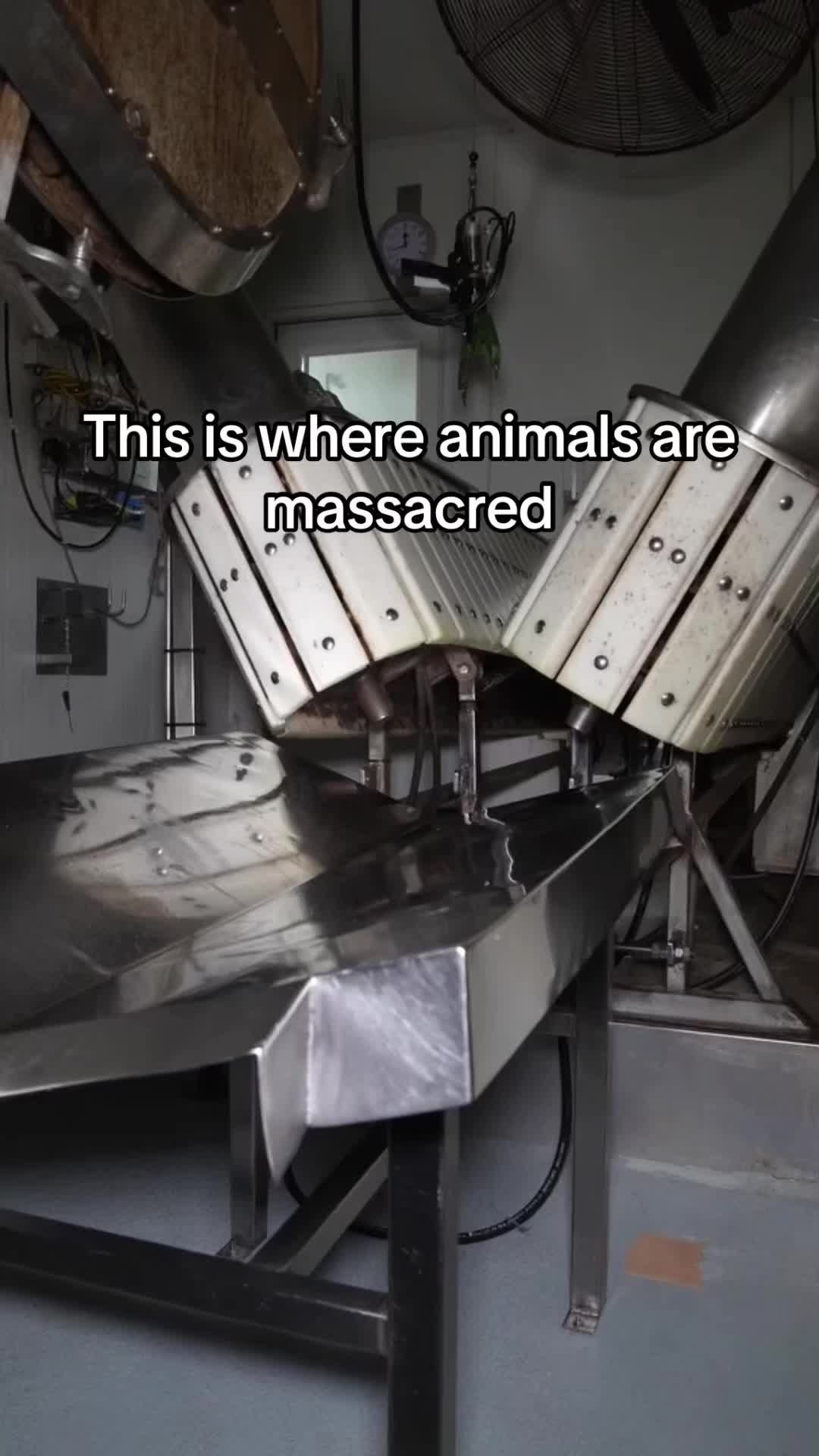 @Meat Sucks