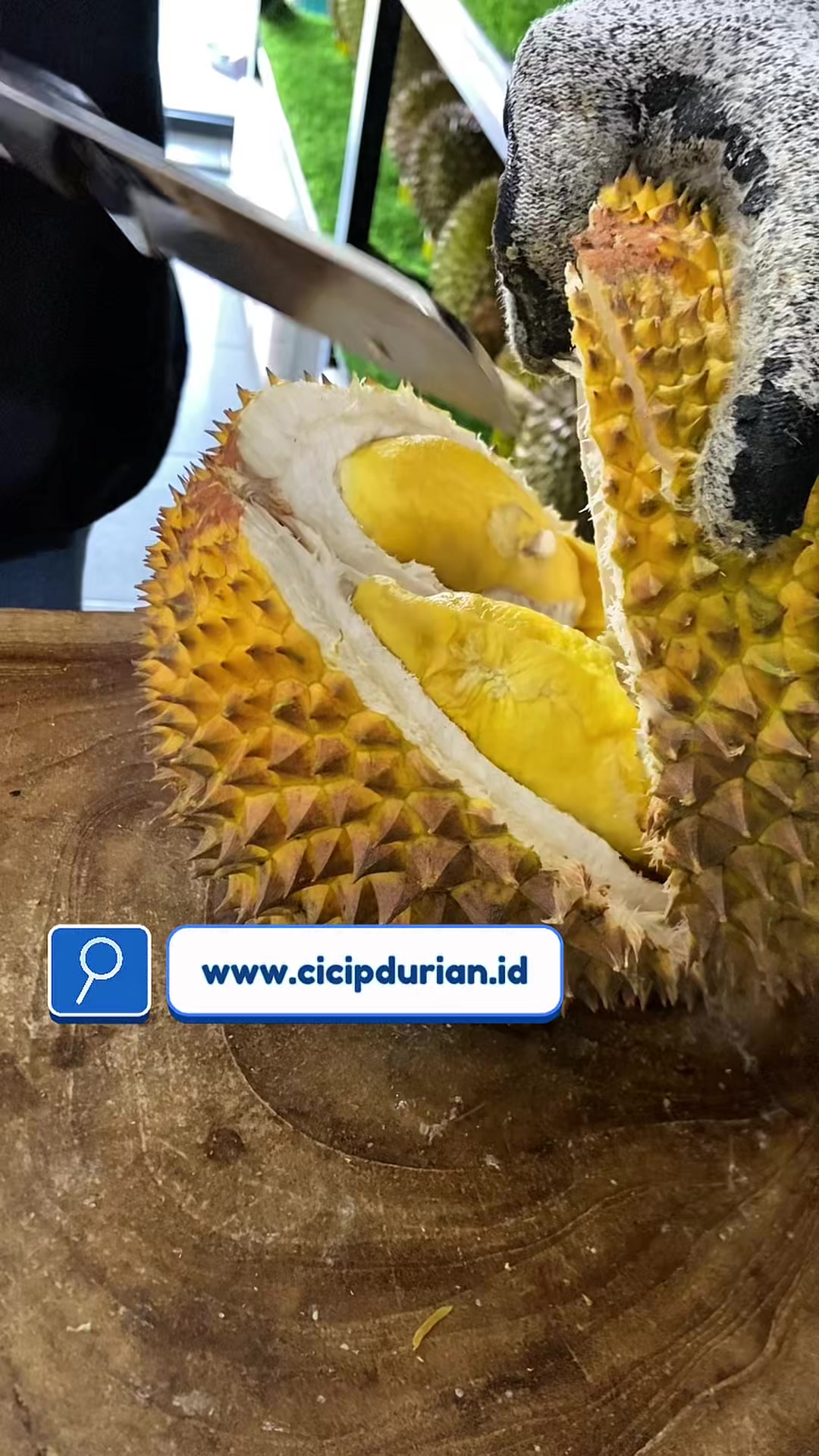 @Cicip Durian