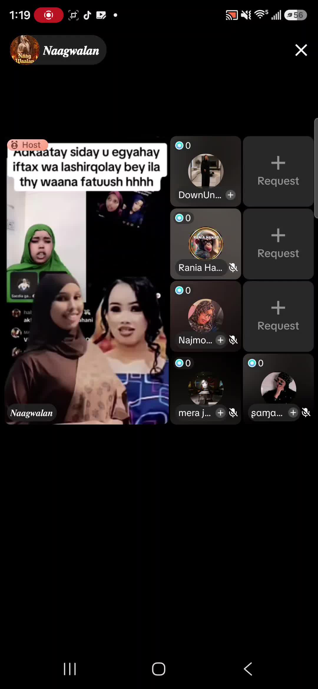 @hikma