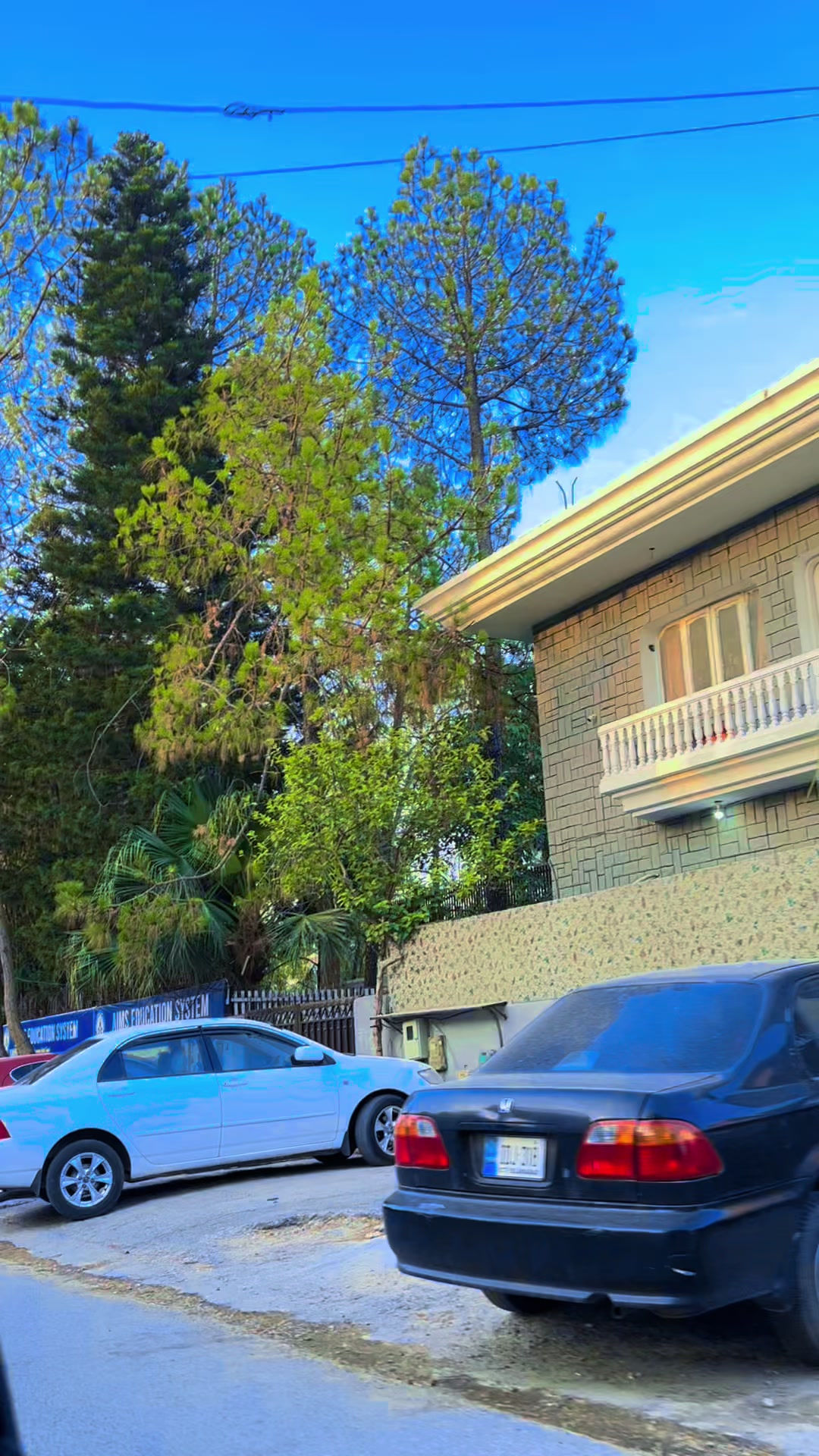 @𝐏 𝐀 𝐍 𝐀 𝐃 𝐎 𝐋-💊