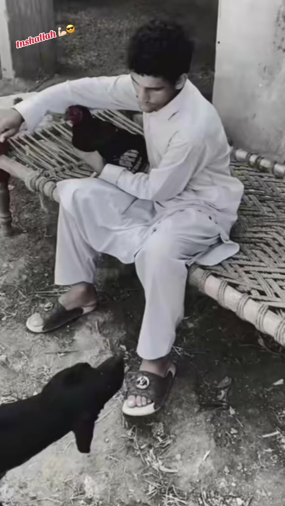 @🦅لاليواني باغى🦅