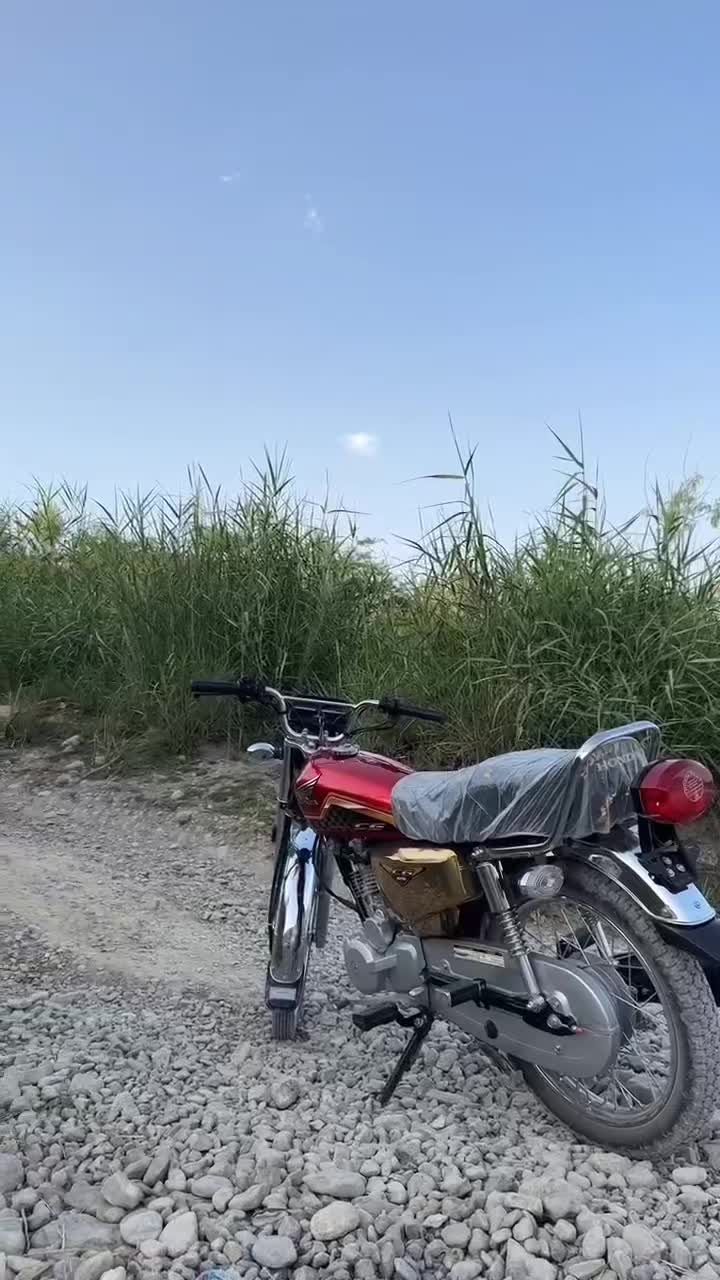 @👑 Honda lovers 👑