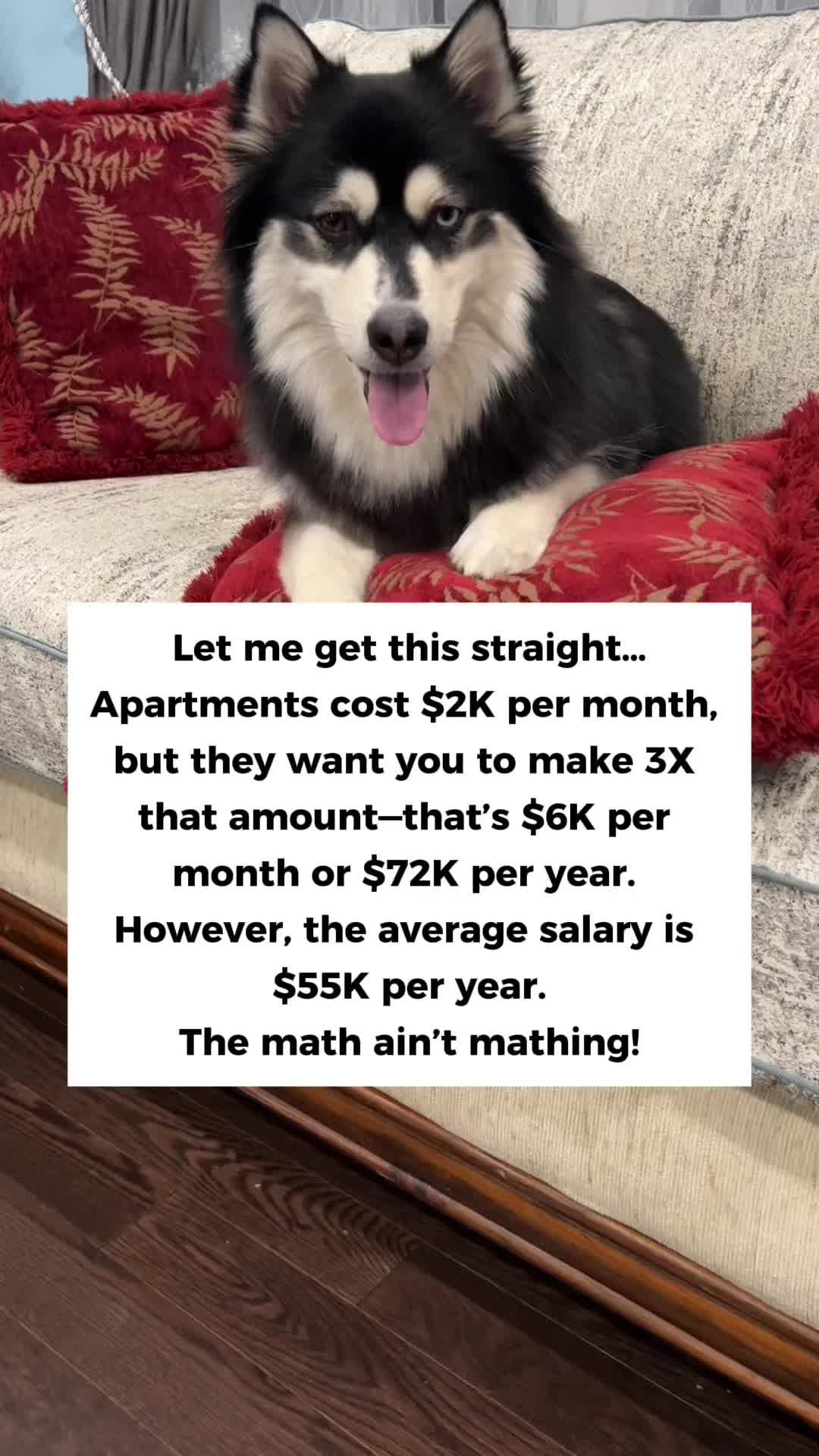 @Zeus the Pomsky🐾