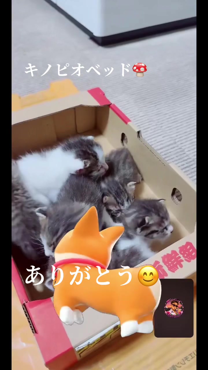 @♪♪ナォ♪♪
