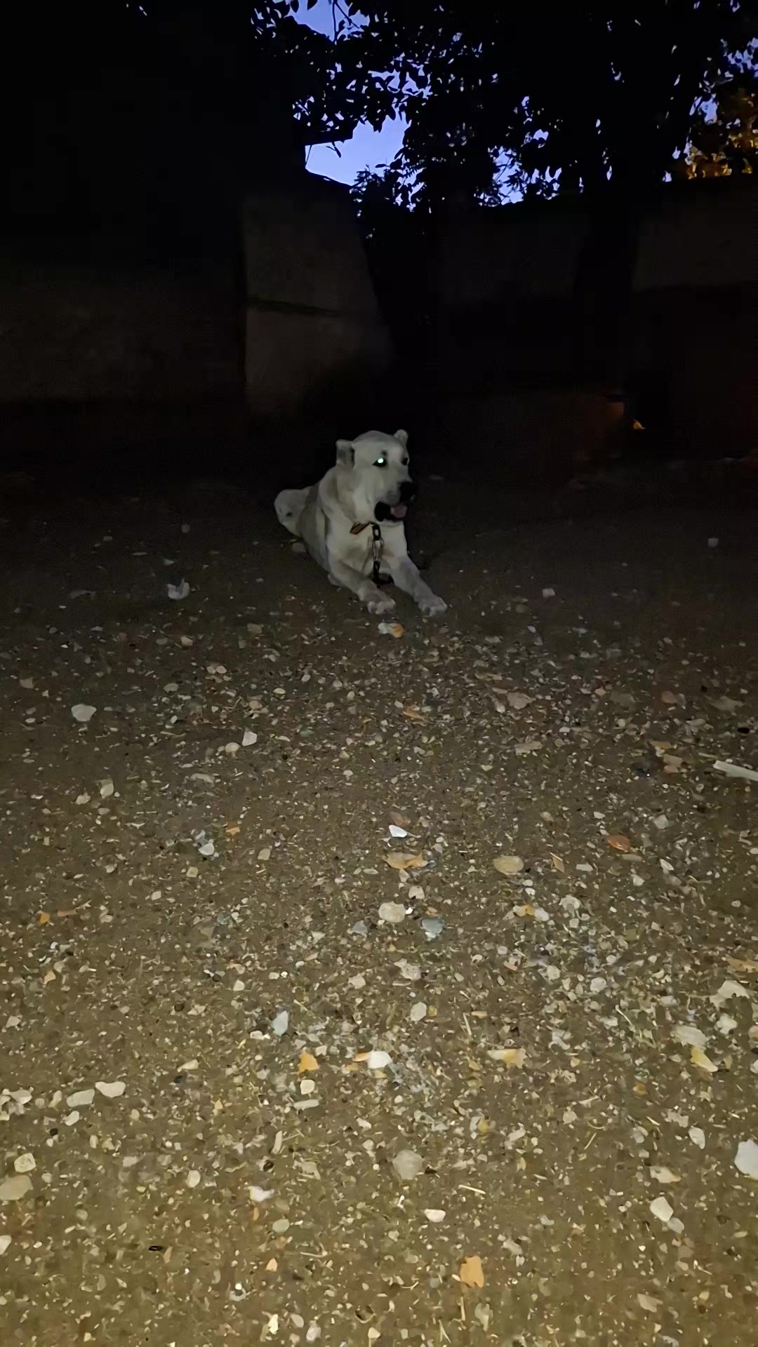 @Berat Demirtaş
