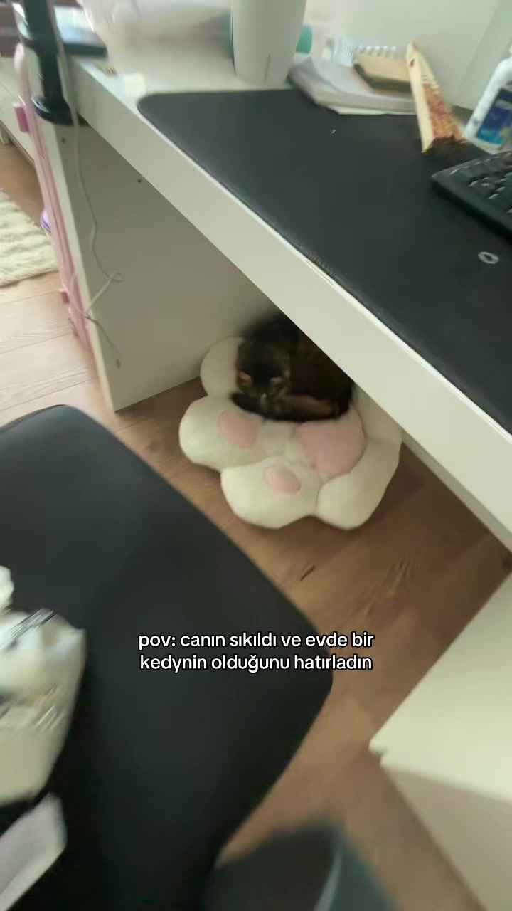 @kendine influnsır
