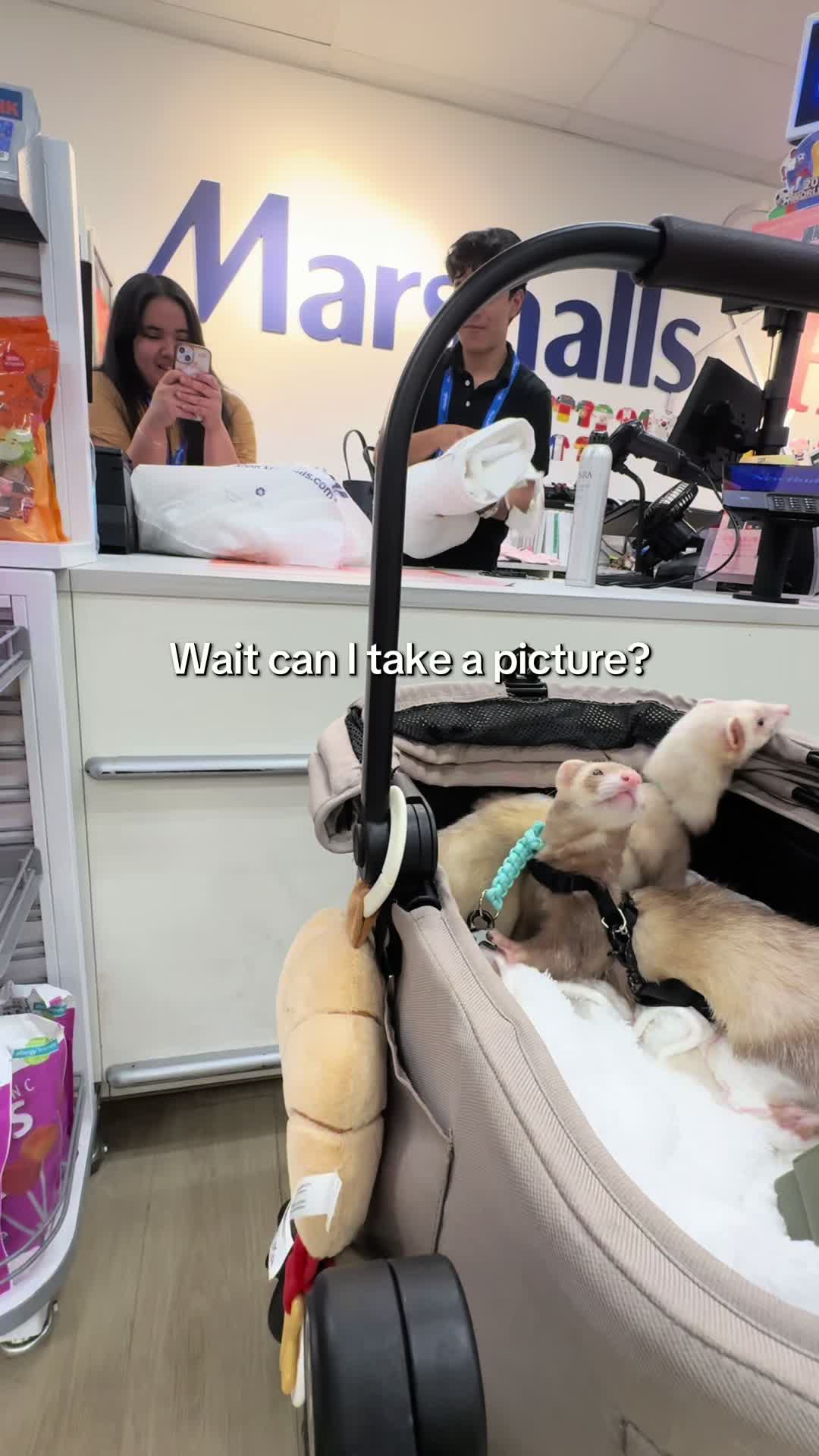 @Moon & Nala