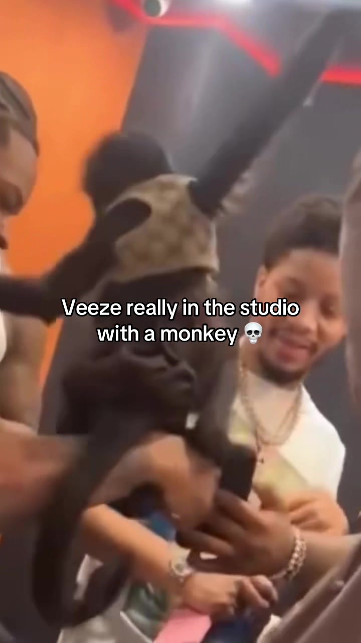 @Veeze Fans