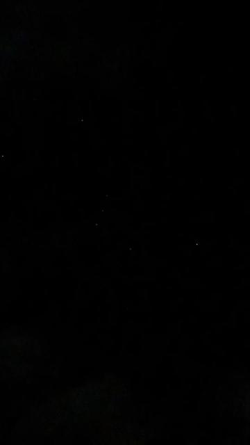 @The Rabbits Den