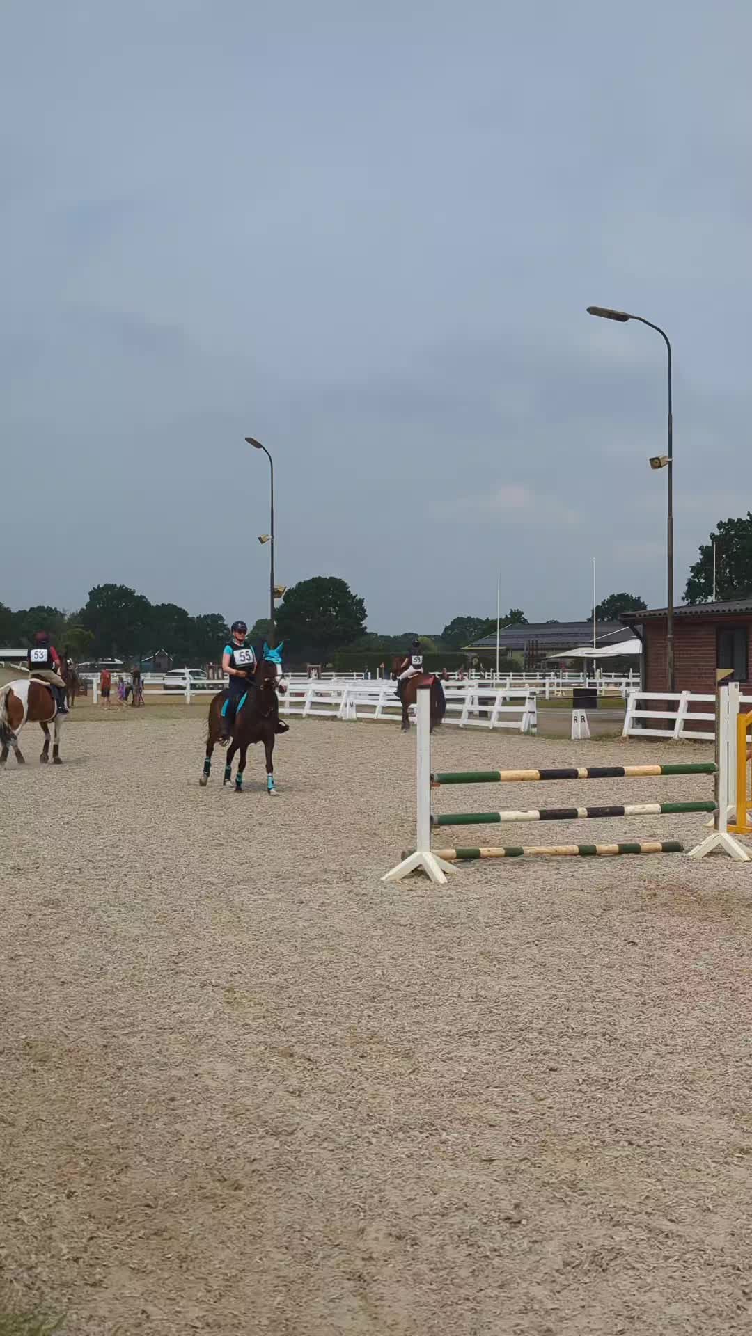 @Elegantia Horses