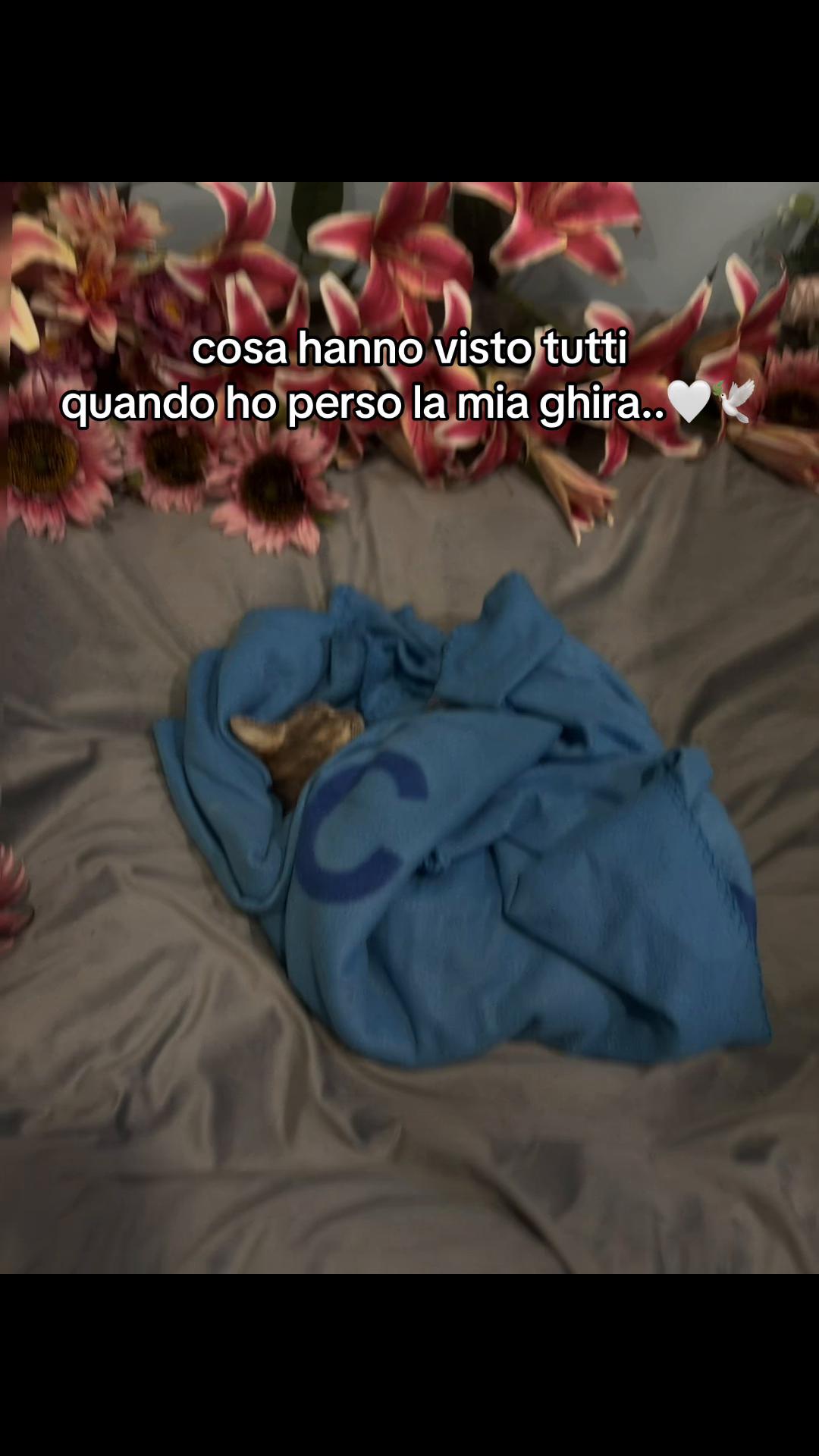 @sabri 🦊
