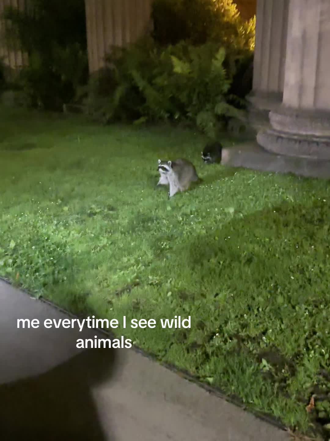 @༂