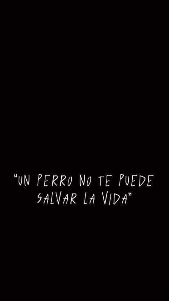 @parra.dlx