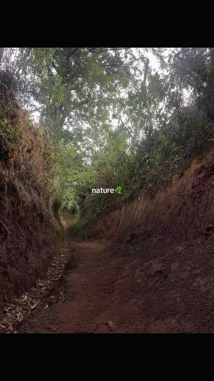 @Rueda/TRAIL