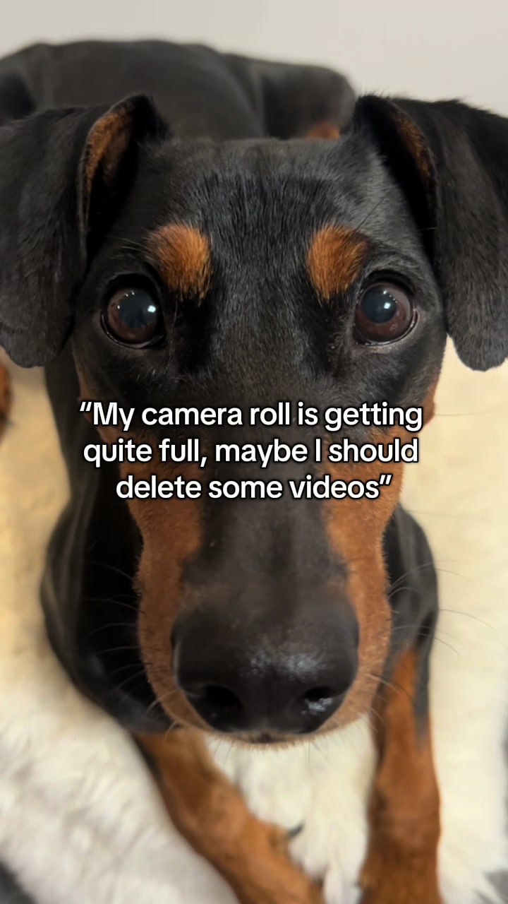 @AlvaTheHotDog