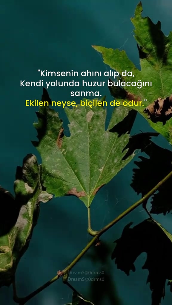 @Ferhat Can 🇩🇪
