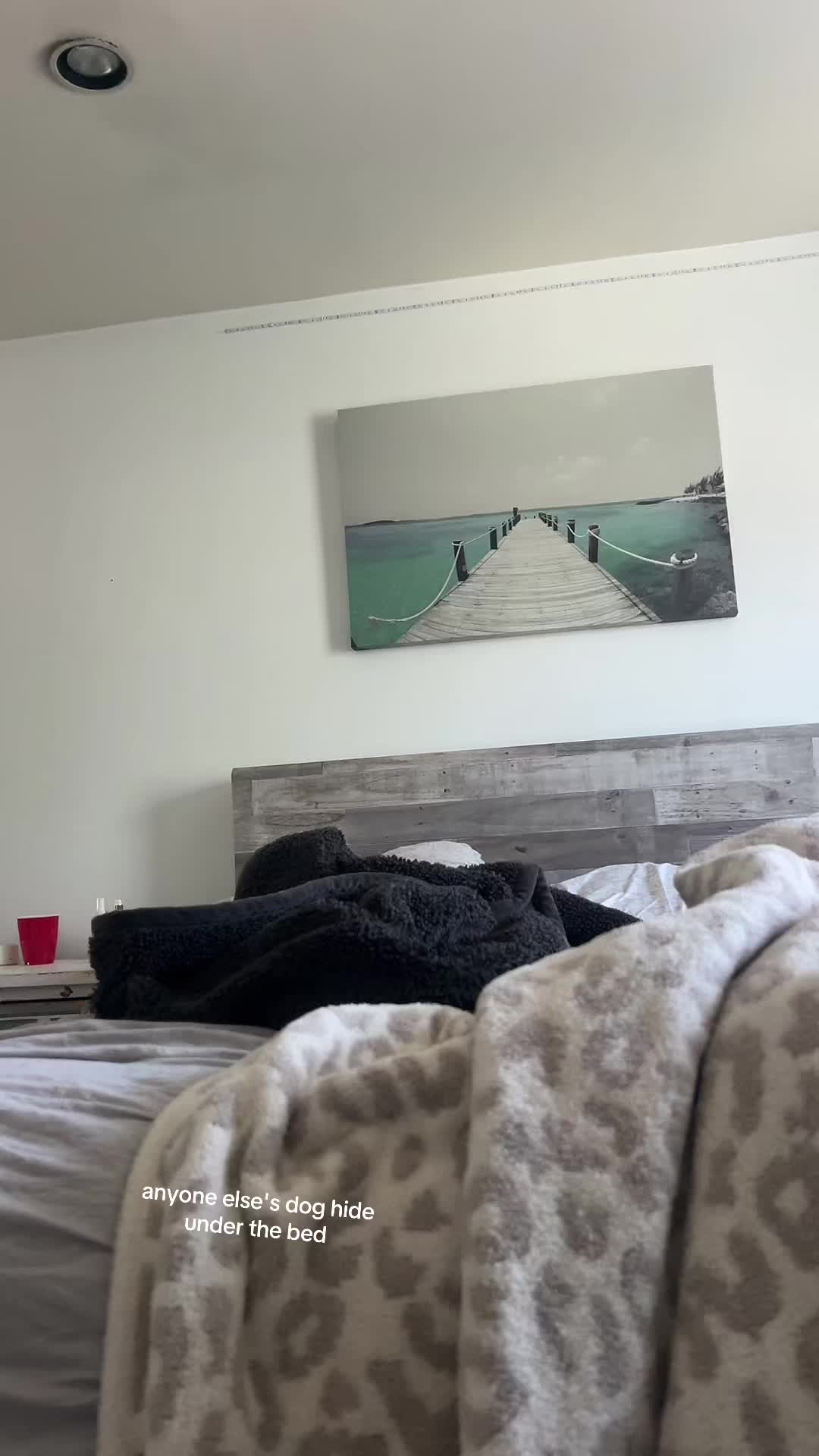 @cam