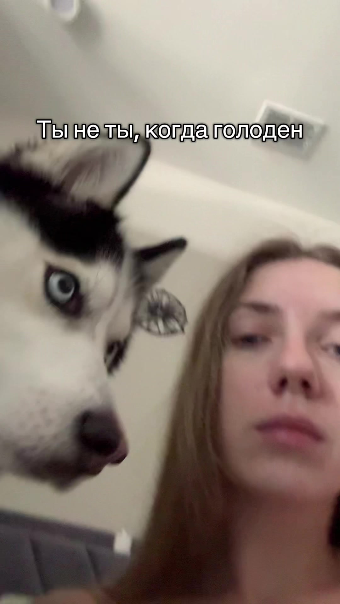 @Husky_mom