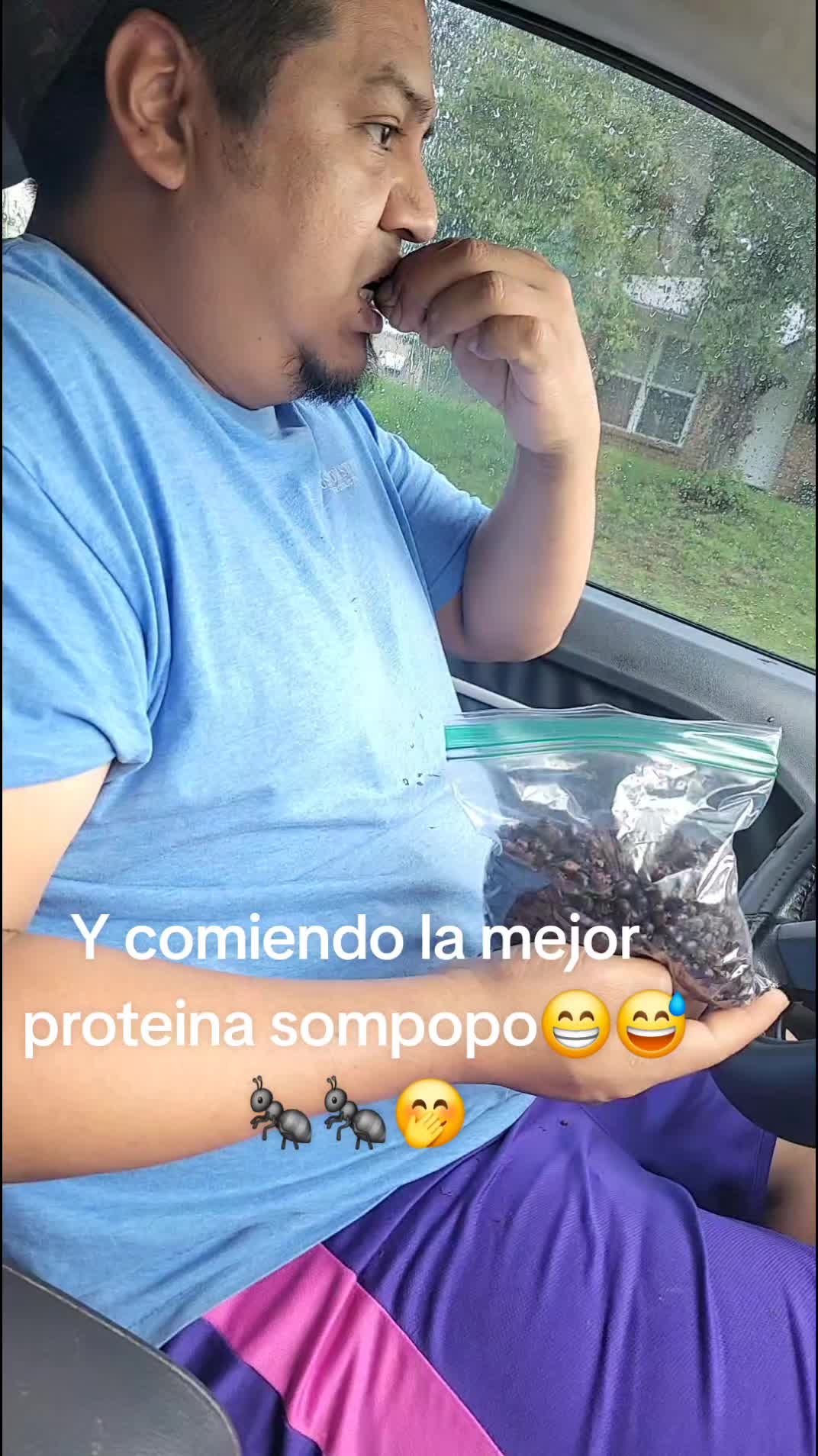 @Lucero Girón
