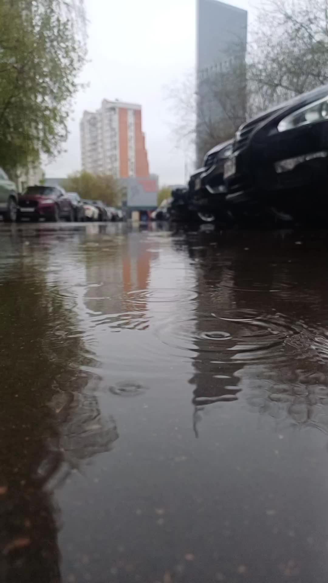 @Незабудка