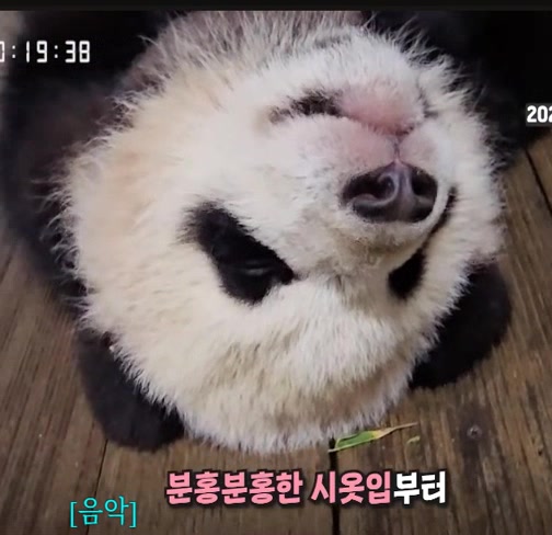 @K-PANDA kim