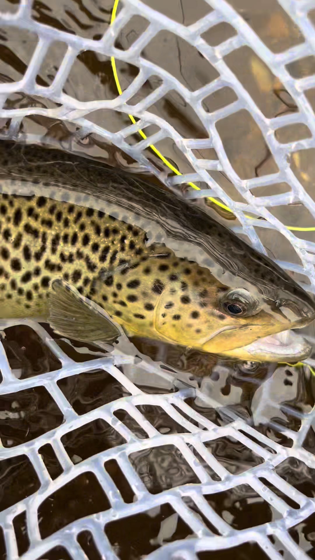@lucky.hat.fly.fishing
